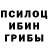 Псилоцибиновые грибы Magic Shrooms Ruslan Fomkin