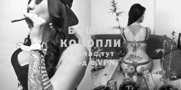 ГАЛЛЮЦИНОГЕННЫЕ ГРИБЫ Аркадак