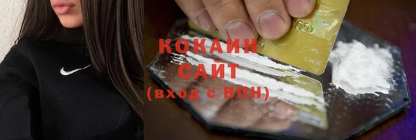ГАЛЛЮЦИНОГЕННЫЕ ГРИБЫ Аркадак
