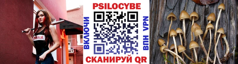 Псилоцибиновые грибы Cubensis цена наркотик Губаха