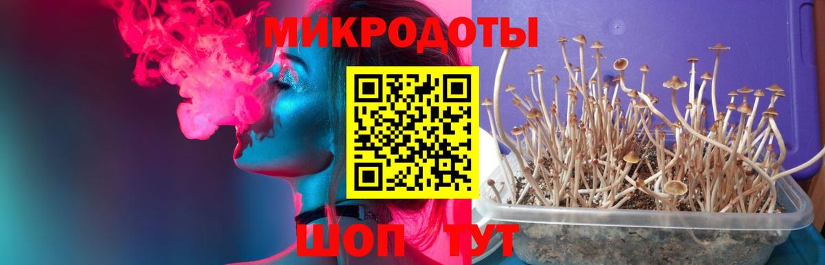 Галлюциногенные грибы мицелий Губаха